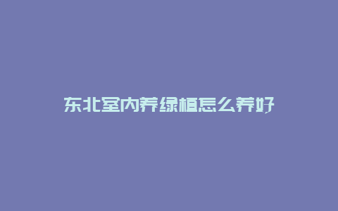 东北室内养绿植怎么养好