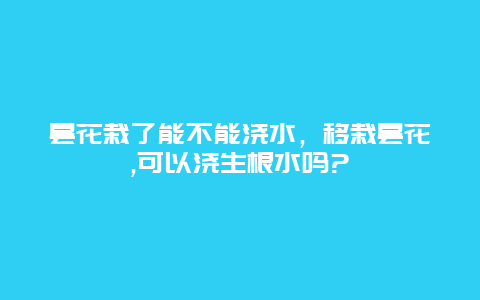 昙花栽了能不能浇水，移栽昙花,可以浇生根水吗?