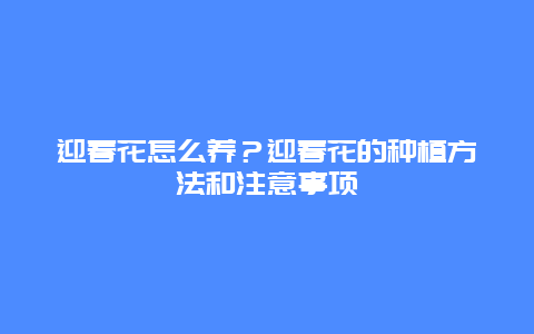 迎春花怎么养？迎春花的种植方法和注意事项