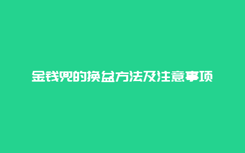 金钱兜的换盆方法及注意事项