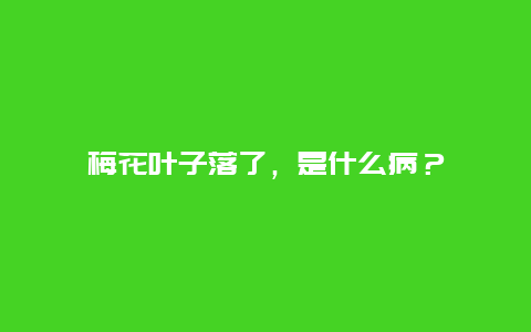 梅花叶子落了，是什么病？