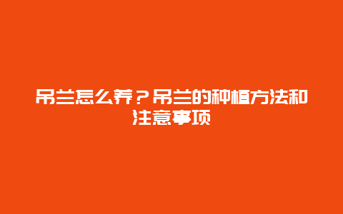 吊兰怎么养？吊兰的种植方法和注意事项