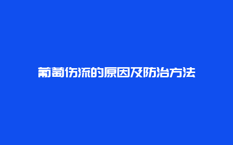 葡萄伤流的原因及防治方法