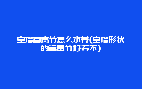 宝塔富贵竹怎么水养(宝塔形状的富贵竹好养不)