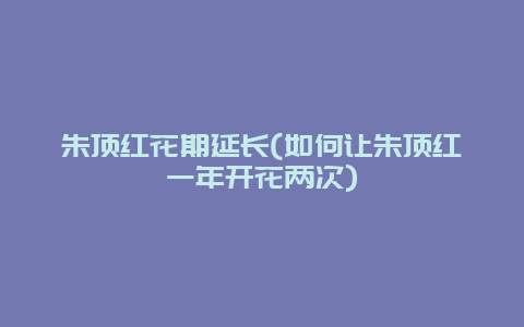 朱顶红花期延长(如何让朱顶红一年开花两次)