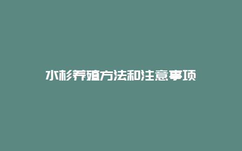 水杉养殖方法和注意事项