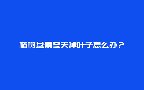 榕树盆景冬天掉叶子怎么办？