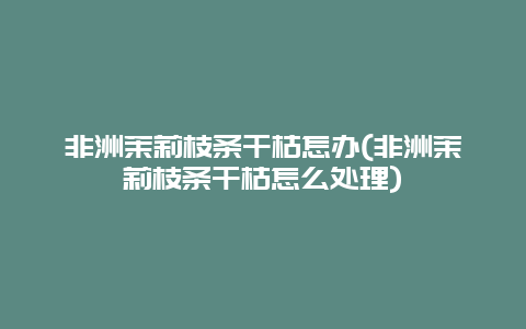 非洲茉莉枝条干枯怎办(非洲茉莉枝条干枯怎么处理)