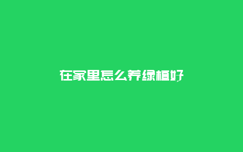 在家里怎么养绿植好