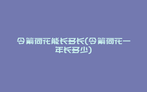 令箭荷花能长多长(令箭荷花一年长多少)