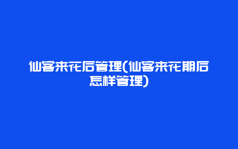 仙客来花后管理(仙客来花期后怎样管理)