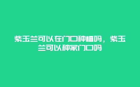 紫玉兰可以在门口种植吗，紫玉兰可以种家门口吗