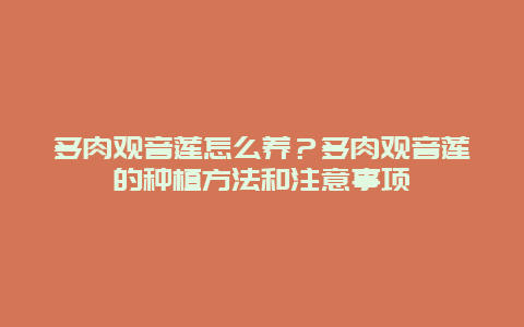 多肉观音莲怎么养？多肉观音莲的种植方法和注意事项