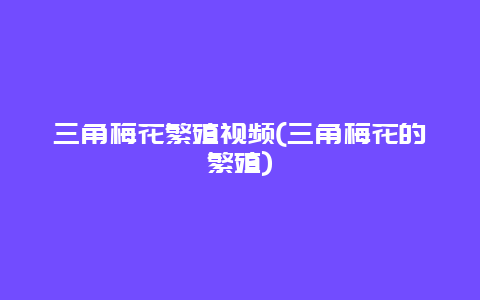 三角梅花繁殖视频(三角梅花的繁殖)