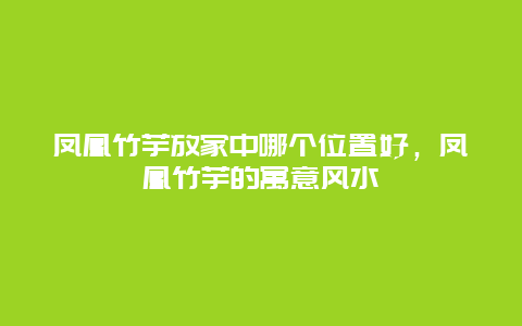 凤凰竹芋放家中哪个位置好，凤凰竹芋的寓意风水