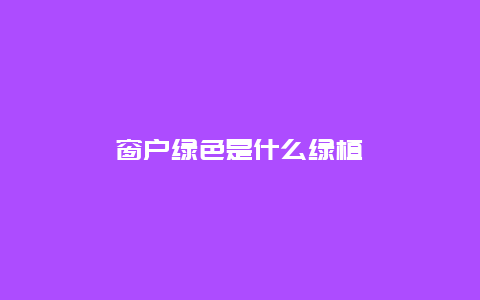 窗户绿色是什么绿植