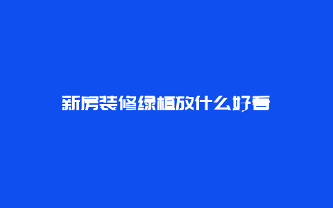 新房装修绿植放什么好看