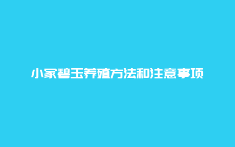 小家碧玉养殖方法和注意事项