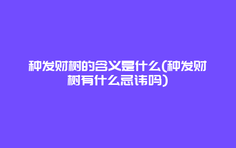 种发财树的含义是什么(种发财树有什么忌讳吗)