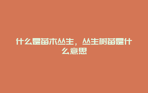 什么是苗木丛生，丛生树苗是什么意思