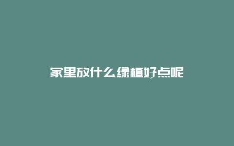 家里放什么绿植好点呢