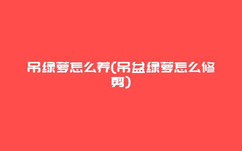 吊绿萝怎么养(吊盆绿萝怎么修剪)