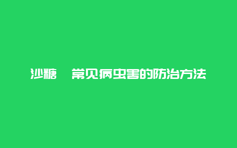 沙糖桔常见病虫害的防治方法