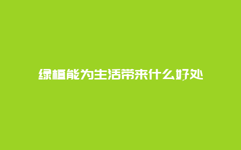 绿植能为生活带来什么好处