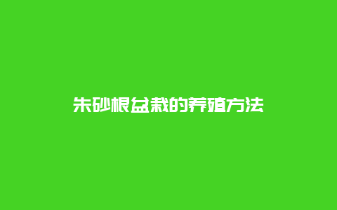 朱砂根盆栽的养殖方法