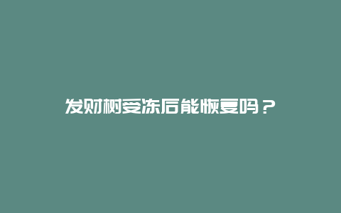 发财树受冻后能恢复吗？