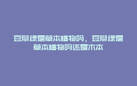 豆瓣绿是草本植物吗，豆瓣绿是草本植物吗还是木本