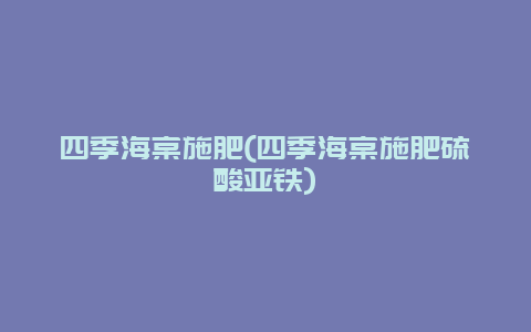 四季海棠施肥(四季海棠施肥硫酸亚铁)