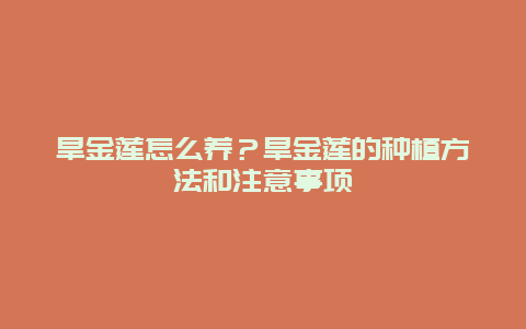 旱金莲怎么养？旱金莲的种植方法和注意事项