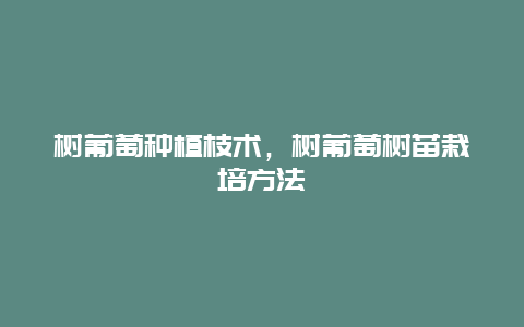 树葡萄种植枝术，树葡萄树苗栽培方法