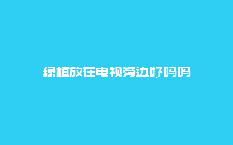 绿植放在电视旁边好吗吗