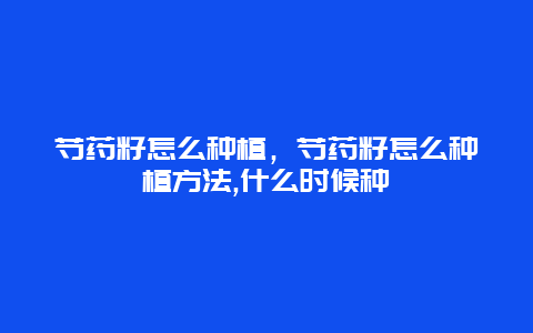 芍药籽怎么种植，芍药籽怎么种植方法,什么时候种