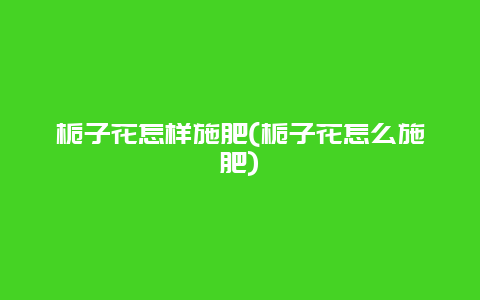 栀子花怎样施肥(栀子花怎么施肥)