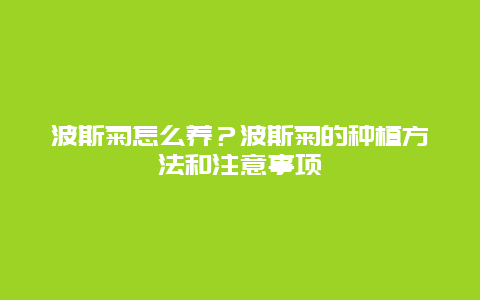 波斯菊怎么养？波斯菊的种植方法和注意事项