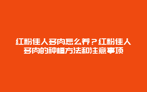 红粉佳人多肉怎么养？红粉佳人多肉的种植方法和注意事项