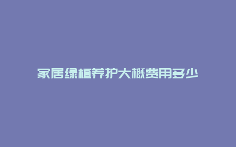 家居绿植养护大概费用多少