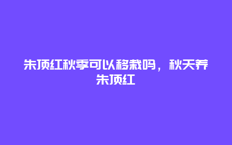 朱顶红秋季可以移栽吗，秋天养朱顶红