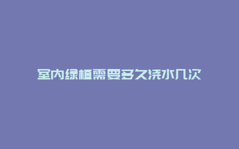 室内绿植需要多久浇水几次