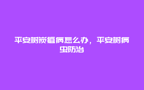 平安树炭疽病怎么办，平安树病虫防治