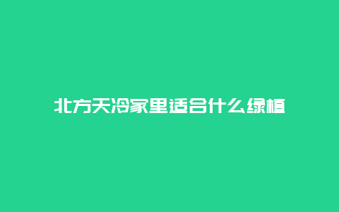 北方天冷家里适合什么绿植