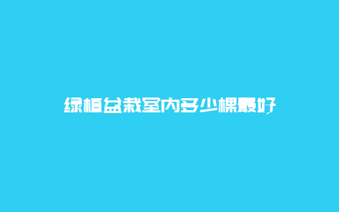 绿植盆栽室内多少棵最好