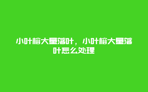 小叶榕大量落叶，小叶榕大量落叶怎么处理