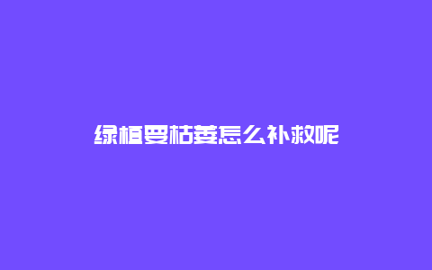 绿植要枯萎怎么补救呢