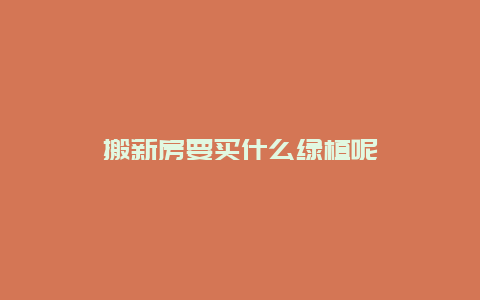 搬新房要买什么绿植呢