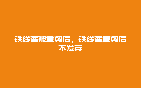 铁线莲被重剪后，铁线莲重剪后不发芽