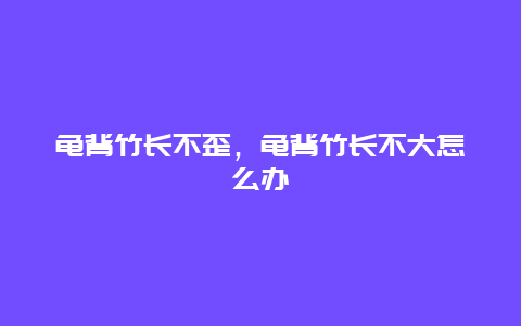 龟背竹长不歪，龟背竹长不大怎么办